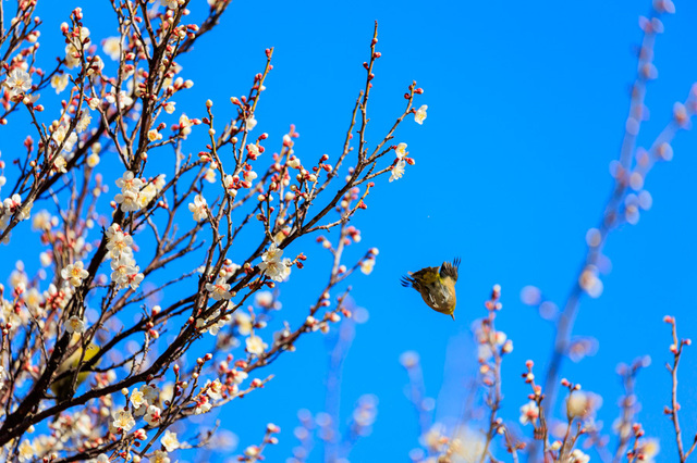 EOS_R6_155017.jpg